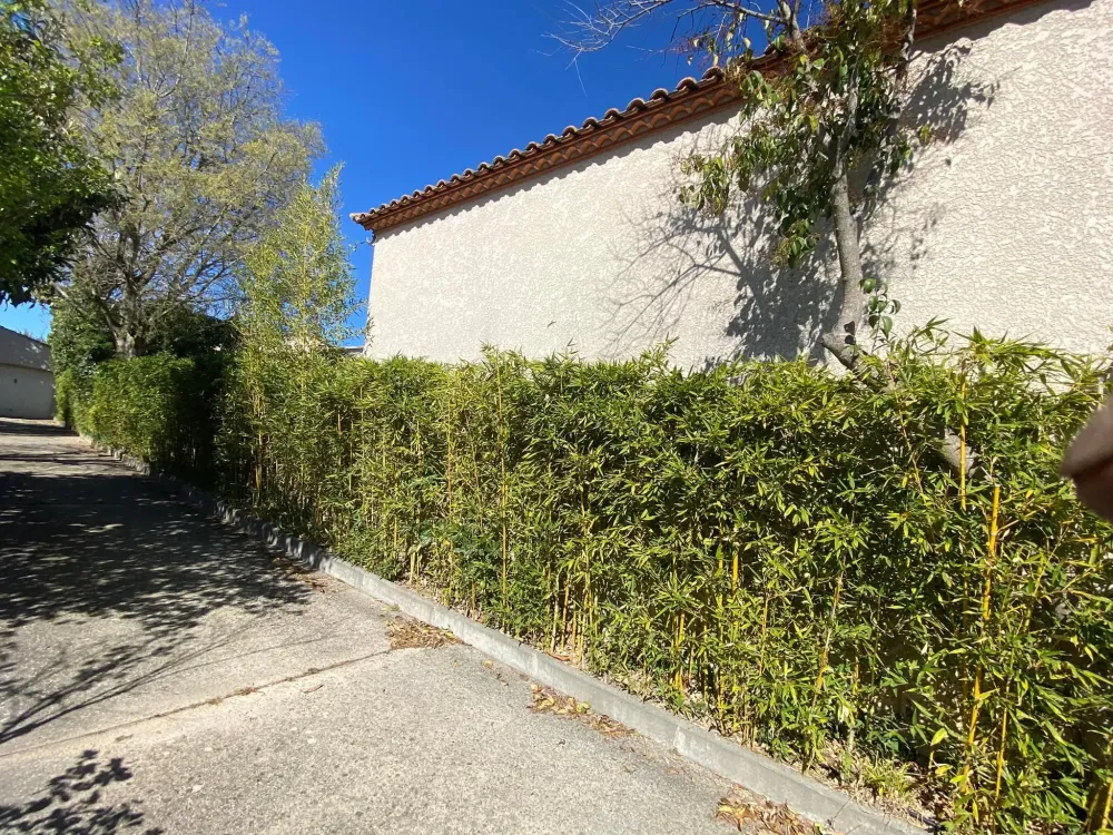 cevendom realisations (1)