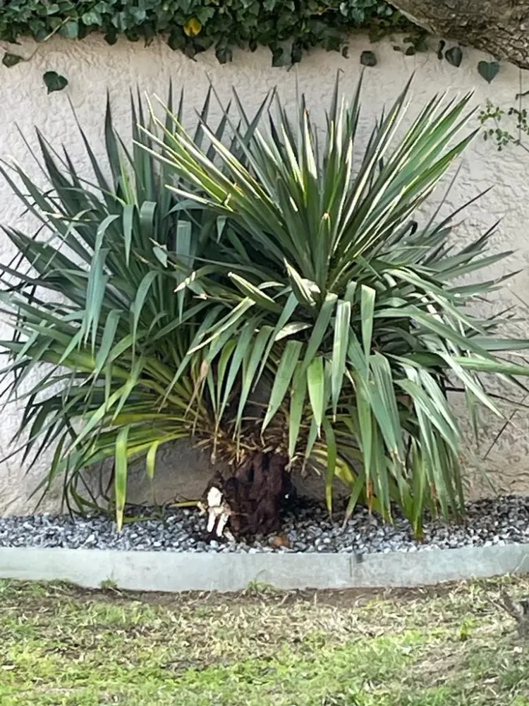 cevendom realisations (12)