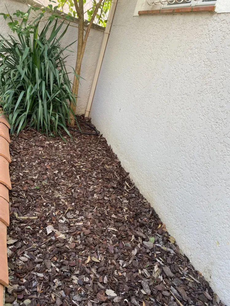 cevendom realisations (11)