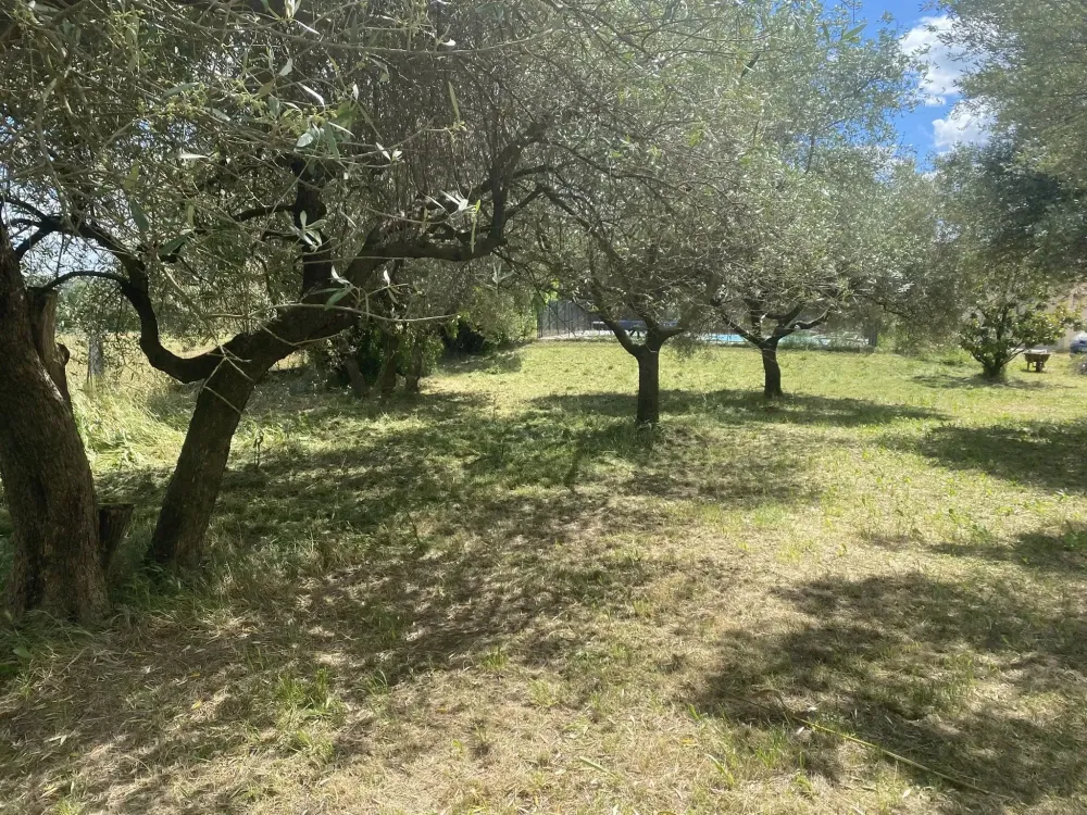 cevendom realisations (3)